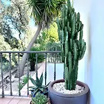 Algarve Country Near Loule, Stunning Views * Sao Romao (Faro)